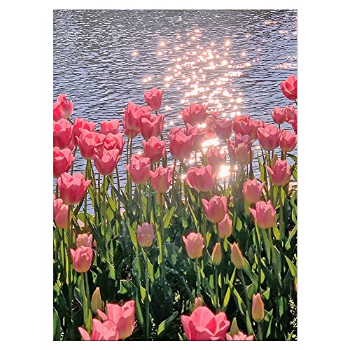 DCIDBEI 40 x 50 cm Diamantmalerei-Set Rund, Diamond Painting Landschaft Rosa Tulpen, Malen Nach Zahlen Erwachsene Blumen, Handwerk Kristall Mosaik Geschenke handgefertigt von DCIDBEI