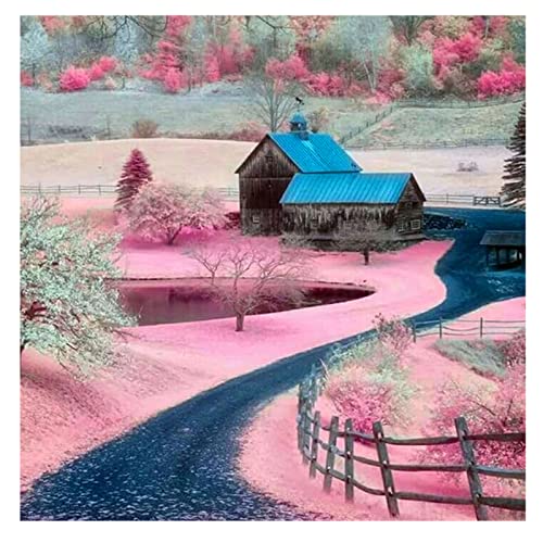 DCIDBEI 40x40CM Diamond Painting Landschaft rosa, Diamant Malerei 5D Stickerei Diamant eckige steine Erwachsene Ideal Dekoration,Basteln, Malen & Handarbeiten,Landhaus von DCIDBEI