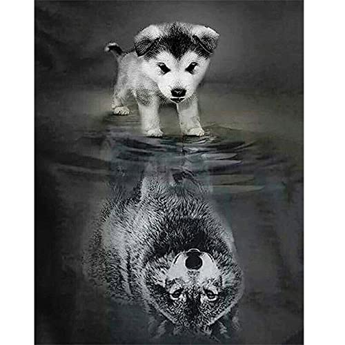 DCIDBEI 5D DIY Diamond Painting Eckige Steine 40x50 cm Square Drill Diamond Painting Hund Wolf Spiegelung Diamant Painting Bilder Tiere Kreuzstich Stickerei Diamant Malerei Malen nach Zahlen Kinder von DCIDBEI