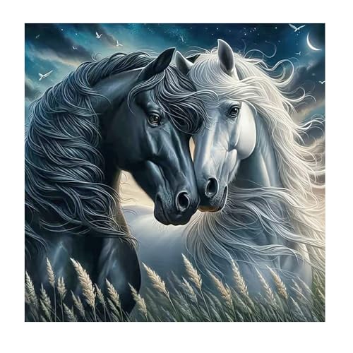 DCIDBEI DIY Diamond Painting Pferde 40x40cm Malen nach Zahlen Pferde 5D Diamant Malerei Kits Diamant Painting Bilder Pferd Aufkleber Diamond Painting Pferd Schwarz Weiß Stickbilder Pferde Tiere DCIDBEI DIY Diamond Painting Pferde 40x40cm Malen nach Zahlen Pferde 5D Diamant Malerei Kits Diamant Painting Bilder Pferd Aufkleber Diamond Painting Pferd Schwarz Weiß Stickbilder Pferde Tiere von DCIDBEI