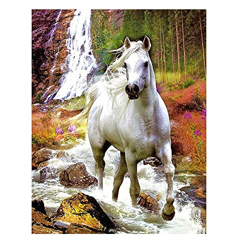 DCIDBEI Diamant Painting Bilder Erwachsene Pferde 40x50cm Diamond Painting Eckige Steine Pferd Square Diamond Painting Wasserfall Malen nach Zahlen Malerei Stickerei Kreuzstich Landschaft DCIDBEI Diamant Painting Bilder Erwachsene Pferde 40x50cm Diamond Painting Eckige Steine Pferd Square Diamond Painting Wasserfall Malen nach Zahlen Malerei Stickerei Kreuzstich Landschaft von DCIDBEI