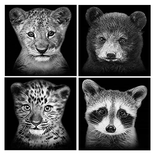 DCIDBEI Diamond Painting 4er Set 30x30 cm Diamant Painting Bilde Tiere Malen Nach Zahlen Löwe Diamond Painting Leopard Kreuzstich Diamant Malerei Diamond Painting Waschbär Löwe Bär Schwarz Weiss DCIDBEI Diamond Painting 4er Set 30x30 cm Diamant Painting Bilde Tiere Malen Nach Zahlen Löwe Diamond Painting Leopard Kreuzstich Diamant Malerei Diamond Painting Waschbär Löwe Bär Schwarz Weiss von DCIDBEI