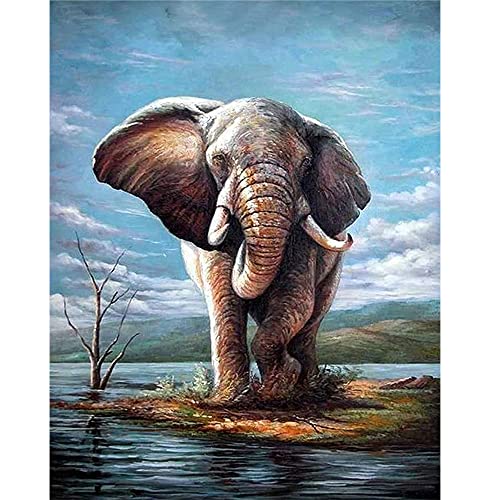 DCIDBEI Diamond Painting Eckige Steine Elefant 40x50 cm Diamond Painting Elefanten 5D Diamant Painting Bilder Erwachsene Malen nach Zahlen Elefant Diamant Malerei Set Stickbilder Kreuzstich Tiere von DCIDBEI