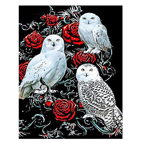 DCIDBEI Diamond Painting Eckige Steine Eulen 40x50 cm Square Diamond Painting Schneeeule Rose Stitch Stickerei Diamant Malerei Erwachsene Eule Malen Nach Zahlen Eule Diamant Painting Bilder Tiere von DCIDBEI