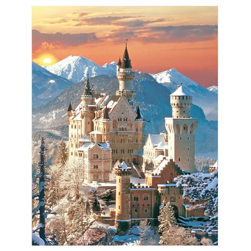 DCIDBEI Diamond Painting Neuschwanstein 40x50 cm Schloss Neuschwanstein Stickbilder Erwachsene Kreuzstich Set Landschaften Deutschland Malen nach Zahlen Mosaik von DCIDBEI