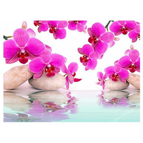 DCIDBEI Diamond Painting Orchidee Lila 50x40 cm diamant painting bilder orchideen Diamond Painting Orchideen Runde Steine Malen nach Zahlen Orchidee Lila Diamond Painting Landschaft Zen DCIDBEI Diamond Painting Orchidee Lila 50x40 cm diamant painting bilder orchideen Diamond Painting Orchideen Runde Steine Malen nach Zahlen Orchidee Lila Diamond Painting Landschaft Zen von DCIDBEI