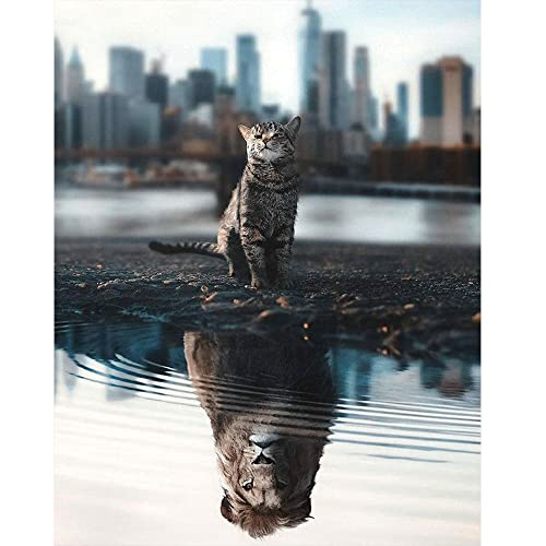 DCIDBEI Diamond Painting Quadratische Steine 40x50 cm Diamond Painting Erwachsene Tiere Square Drill Diamond Painting Katze Löwe Diamant Painting Bilder Katzen Spiegelbild Diamant Painting Katze Löwe DCIDBEI Diamond Painting Quadratische Steine 40x50 cm Diamond Painting Erwachsene Tiere Square Drill Diamond Painting Katze Löwe Diamant Painting Bilder Katzen Spiegelbild Diamant Painting Katze Löwe von DCIDBEI