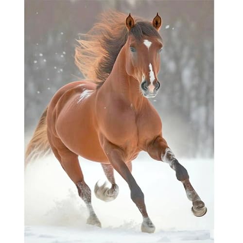 DCIDBEI Diamond Painting Winterlandschaft 40x50 cm Square Diamond Painting Pferde im Schnee Diamond Painting Quadratische Steine Tiere Malen nach Zahlen Pferde Diamant Painting Bilder Pferd Braun DCIDBEI Diamond Painting Winterlandschaft 40x50 cm Square Diamond Painting Pferde im Schnee Diamond Painting Quadratische Steine Tiere Malen nach Zahlen Pferde Diamant Painting Bilder Pferd Braun von DCIDBEI