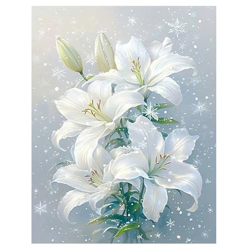 DCIDBEI Groß Diamond Painting Blumen Lily 40x50 cm Stickerei Set Erwachsene Blumen Lily Malen nach Zahlen Blumen Diamant Painting Bilder Lily Rein Schöne Familie Große Liebe Dankbarkeit Blumen Weis von DCIDBEI