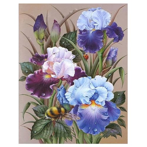 DCIDBEI Groß Diamond Painting Lila Blumen Iris 40x50cm Stickbilder Erwachsene Iris Violett Diamond Painting Blumen in Lila Diamant Painting Bilder Blumen Weisheit Respektieren Hoffnung Glauben von DCIDBEI