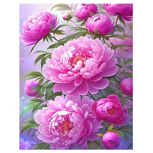 DCIDBEI Groß und Klar Diamant Painting Bilder Erwachsene Blumen Pfingstrose 40x50 cm Stickbilder Erwachsene Blume Pfingstrose Diamant Painting Pfingstrose Blume des Lebens Reichtum Glück Schönheit DCIDBEI Groß und Klar Diamant Painting Bilder Erwachsene Blumen Pfingstrose 40x50 cm Stickbilder Erwachsene Blume Pfingstrose Diamant Painting Pfingstrose Blume des Lebens Reichtum Glück Schönheit von DCIDBEI