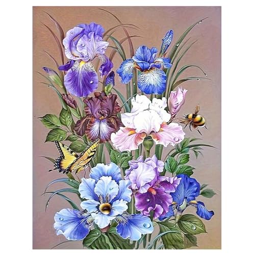 DCIDBEI Groß und Klar Diamond Painting Blumen Lila 40x50cm Malen nach Zahlen Blumen Lila Iris Biene Diamant Painting Bilder Groß Flowers Iris Stickbilder Erwachsene Weisheit Respekt Hoffnung Glaube DCIDBEI Groß und Klar Diamond Painting Blumen Lila 40x50cm Malen nach Zahlen Blumen Lila Iris Biene Diamant Painting Bilder Groß Flowers Iris Stickbilder Erwachsene Weisheit Respekt Hoffnung Glaube von DCIDBEI