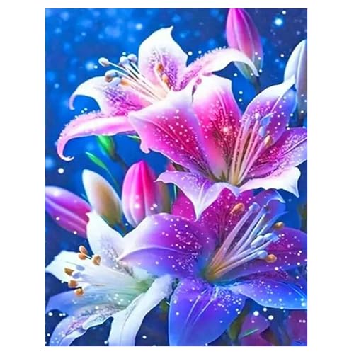 DCIDBEI Groß und Klar Diamond Painting Blumen Lily 40x50 cm Diamant Painting Bilder Blumen Lily Malen nach Zahlen Erwachsene Stickbilder Erwachsene Blumen Lilie Romantische Liebe Basteln Erwachsene DCIDBEI Groß und Klar Diamond Painting Blumen Lily 40x50 cm Diamant Painting Bilder Blumen Lily Malen nach Zahlen Erwachsene Stickbilder Erwachsene Blumen Lilie Romantische Liebe Basteln Erwachsene von DCIDBEI