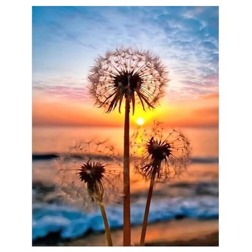 DCIDBEI Groß und Klar Diamond Painting Pusteblume 40x50cm Diamant Painting Bilder Pusteblume Fliegend Malen nach Zahlen Pusteblume Löwenzahn Diamond Painting Sonnenuntergang Landschaft Strand und Meer DCIDBEI Groß und Klar Diamond Painting Pusteblume 40x50cm Diamant Painting Bilder Pusteblume Fliegend Malen nach Zahlen Pusteblume Löwenzahn Diamond Painting Sonnenuntergang Landschaft Strand und Meer von DCIDBEI