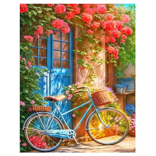 DCIDBEI Groß und Klar Diamond Painting Rosen Fahrrad 40x50cm Perlen Bilder Stickbilder Erwachsene Kreuzstich Rose Bilder Blumen Rosen Diamant Painting Landschaft Bunte Blumen Blumenbogen Romantisch von DCIDBEI