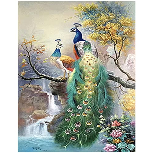 DCIDBEI Square Diamond Painting Vollbedeckung Painting Set Bild 40 x 50cm Diamant Malerei Stickerei Handarbeit Basteln Mosaik Steine Malen nach Zahlen Diamond Painting Eckige Steine Blumen Tiere Pfau DCIDBEI Square Diamond Painting Vollbedeckung Painting Set Bild 40 x 50cm Diamant Malerei Stickerei Handarbeit Basteln Mosaik Steine Malen nach Zahlen Diamond Painting Eckige Steine Blumen Tiere Pfau von DCIDBEI