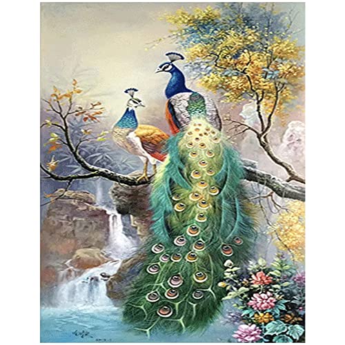 DCIDBEI Square Diamond Painting Vollbedeckung Painting Set Bild 40 x 50cm Diamant Malerei Stickerei Handarbeit Basteln Mosaik Steine Malen nach Zahlen Diamond Painting Eckige Steine Blumen Tiere Pfau von DCIDBEI