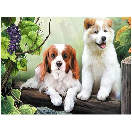 DIY 5D Diamant Gemälde Groß Hunde 50x40cm Diamond Painting Quadratische Steine Leinwandbild Nummer Kit Crystal Strass Stickerei Kreuzstich Malen nach Zahlen Stitch Diamant Gemälde Set Arts Craft Decor von DCIDBEI
