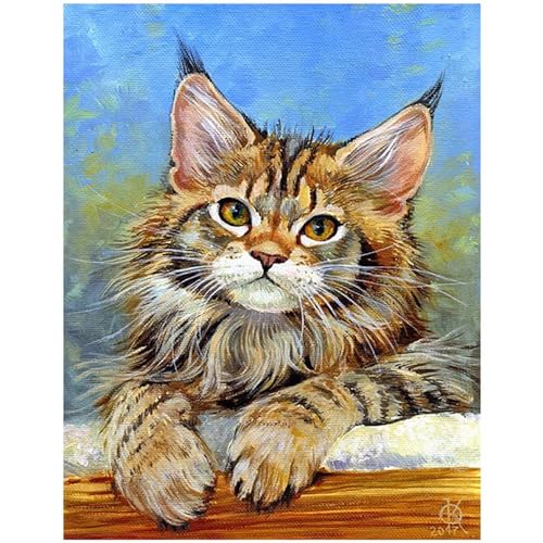 DIY 5D Diamant Quadratische Steine Malen nach Zahlen Kits Kinder Erwachsene Katze 30x40cm Gemälde Diamond Painting Eckige Steine Full Kunst Mosaik Painting Daiments Painting für Schlafzimmer Komplett von DCIDBEI