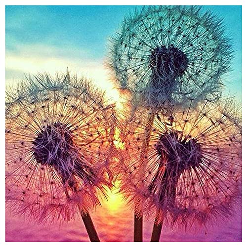 DIY 5D Square Diamond Painting Strass Glitzer 40x40cm Quadratische Steine Strasssteine Craft Buddy Crystal Art Malen mit Diamanten Puzzle Diamant Mosaik Basteln Erwachsene Löwenzahn Pusteblume DIY 5D Square Diamond Painting Strass Glitzer 40x40cm Quadratische Steine Strasssteine Craft Buddy Crystal Art Malen mit Diamanten Puzzle Diamant Mosaik Basteln Erwachsene Löwenzahn Pusteblume von DCIDBEI