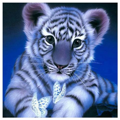 Diamond Painting Eckige Steine Tiger Schmetterling 40x40cm DIY 5D Diamant Painting Bilder Mosaik 5D Diamant Malerei für Kinder und Erwachsene Diamond Painting Bilder GemäldeSet für Home Wall Décor Diamond Painting Eckige Steine Tiger Schmetterling 40x40cm DIY 5D Diamant Painting Bilder Mosaik 5D Diamant Malerei für Kinder und Erwachsene Diamond Painting Bilder GemäldeSet für Home Wall Décor von DCIDBEI