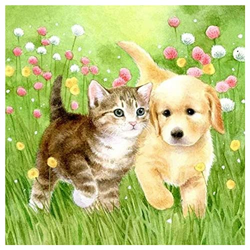 Diamond Painting Quadratische Steine Katze Hund 40x40cm Bilder Freunde DIY 5D Diamant Malerei Kits Diamant Painting Bilder Groß Gemälde Stein Bilder Malen nach Zahlen Erwachsene Tiere zum Selbermachen Diamond Painting Quadratische Steine Katze Hund 40x40cm Bilder Freunde DIY 5D Diamant Malerei Kits Diamant Painting Bilder Groß Gemälde Stein Bilder Malen nach Zahlen Erwachsene Tiere zum Selbermachen von DCIDBEI