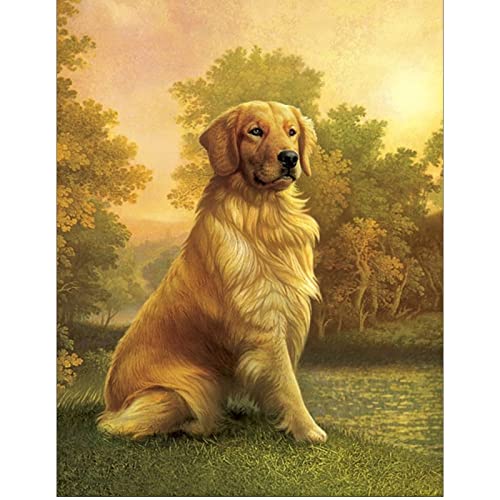 Diamond Painting Square Drill 40x50 cm Diamant Painting Bilder Hund Diamond Painting Hunde Golden Retriever DIY 5D Malen nach Zahlen Hunde Craft Buddy Crystal Art Wall Decor Stickbilder Kreuzstich von DCIDBEI