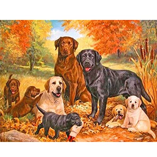 Diamond Painting Square Drill 50x40cm Malen nach Zahlen Tiere Diamant Painting Bilder Hunde Labrador 5D Diamond Painting Eckige Steine Hund Labrador DIY Stickbilder Diamond Painting Hundewelpen von DCIDBEI