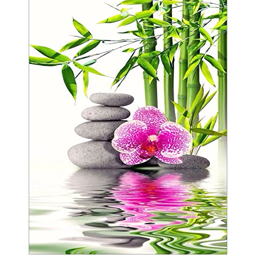 Diamond Painting Square Drill Erwachsene 40x50 cm Diamond Painting Orchideen 5D Diamant Painting Orchidee Diamond Painting Eckige Steine Orchidee Malen nach Zahlen Diamant Painting Landschaft wasser Diamond Painting Square Drill Erwachsene 40x50 cm Diamond Painting Orchideen 5D Diamant Painting Orchidee Diamond Painting Eckige Steine Orchidee Malen nach Zahlen Diamant Painting Landschaft wasser von DCIDBEI