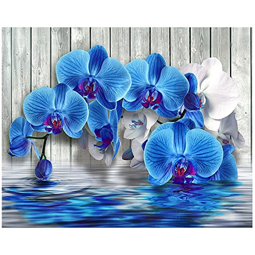 Rund 5D Diamond Painting Orchidee 40x30 cm Diamant Painting Bilder Erwachsene Kinder Crystal Rhinestone Embroidery Diamant Malerei Malen nach Zahlen Orchideen Zen Bilder Kreuzstich Stickerei von DCIDBEI