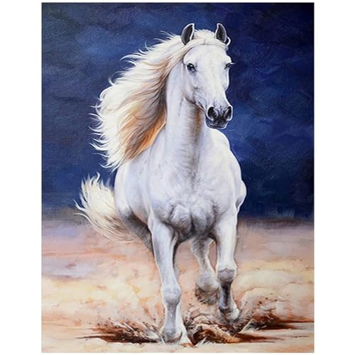 Square Diamond Painting Erwachsene Kinder Pferd 40x50cm 5D Diamant Painting Bilder Quadratisch Bild mosaik mit Diamond Painting Zubehör Diamant Malerei Arts Craft für Haus Wand Eingang Dekorationen Square Diamond Painting Erwachsene Kinder Pferd 40x50cm 5D Diamant Painting Bilder Quadratisch Bild mosaik mit Diamond Painting Zubehör Diamant Malerei Arts Craft für Haus Wand Eingang Dekorationen von DCIDBEI