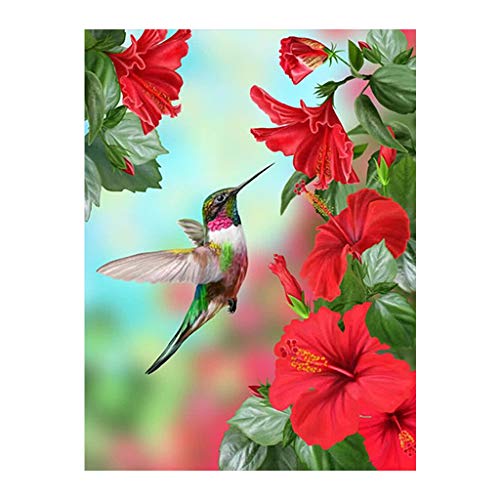 Square Diamond Painting Quadratische 5D Diamanten Malerei Set Kolibri Blumen Kreuzstich Stickerei Strasssteine Voll Set Gemälde Malen nach Zahlen Leinwand Wandkunst Zubehör Mosaik-Geschenk 30 x 40 cm Square Diamond Painting Quadratische 5D Diamanten Malerei Set Kolibri Blumen Kreuzstich Stickerei Strasssteine Voll Set Gemälde Malen nach Zahlen Leinwand Wandkunst Zubehör Mosaik-Geschenk 30 x 40 cm von DCIDBEI