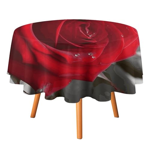 DDTKLSNV Rote Rose2 runde Tischdecke, 152,4 x 152,4 cm, wasserdicht, knitterfrei, schmutzabweisend, waschbar, Tischdecke für Picknick, Party, Esszimmer, Heimdekoration DDTKLSNV Rote Rose2 runde Tischdecke, 152,4 x 152,4 cm, wasserdicht, knitterfrei, schmutzabweisend, waschbar, Tischdecke für Picknick, Party, Esszimmer, Heimdekoration von DDTKLSNV
