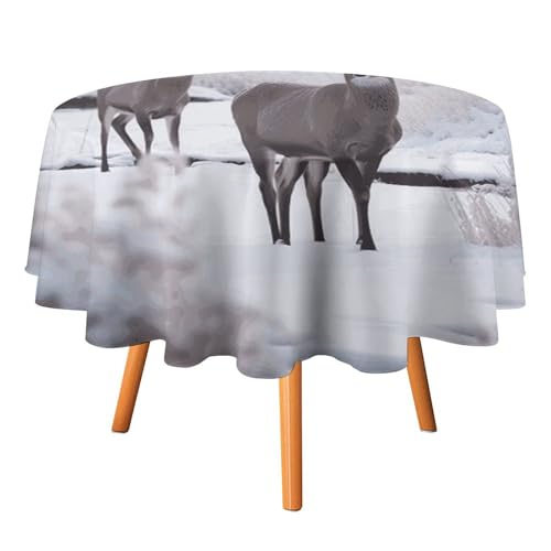 DDTKLSNV Runde Tischdecke mit Hirsch auf der Eiskönigin, 127 x 127 cm, wasserdicht, knitterfrei, schmutzabweisend, waschbar, Tischdecke für Picknick, Party, Esszimmer, Heimdekoration von DDTKLSNV