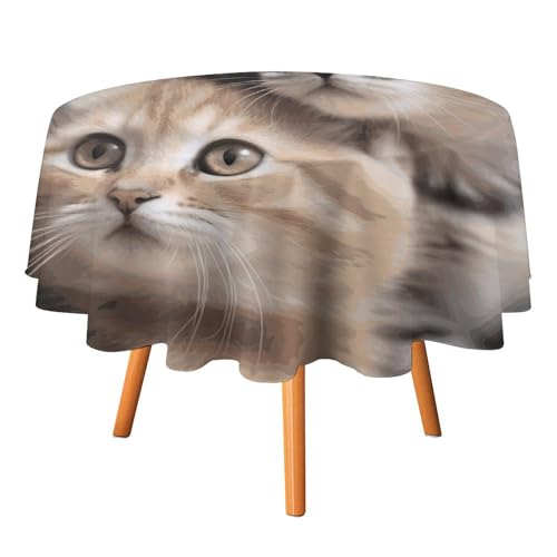 DDTKLSNV Runde Tischdecke mit Katzen, 91,4 x 91,4 cm, wasserdicht, knitterfrei, schmutzabweisend, waschbar, Tischdecke für Picknick, Party, Esszimmer, Heimdekoration DDTKLSNV Runde Tischdecke mit Katzen, 91,4 x 91,4 cm, wasserdicht, knitterfrei, schmutzabweisend, waschbar, Tischdecke für Picknick, Party, Esszimmer, Heimdekoration von DDTKLSNV