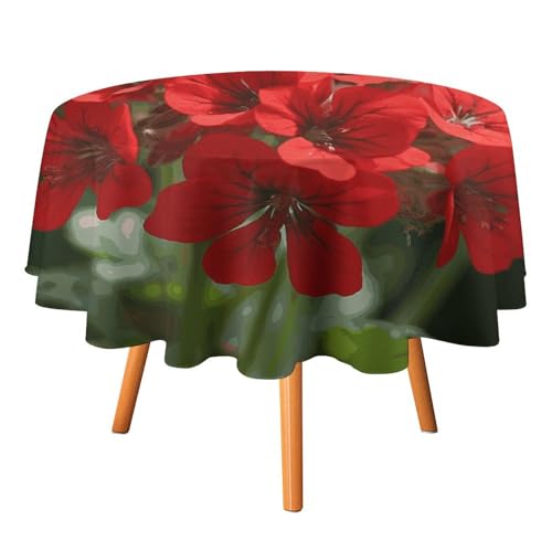 DDTKLSNV Runde Tischdecke mit roten Geranien, 127 x 127 cm, wasserdicht, knitterfrei, schmutzabweisend, waschbar, Tischdecke für Picknick, Party, Esszimmer, Heimdekoration DDTKLSNV Runde Tischdecke mit roten Geranien, 127 x 127 cm, wasserdicht, knitterfrei, schmutzabweisend, waschbar, Tischdecke für Picknick, Party, Esszimmer, Heimdekoration von DDTKLSNV