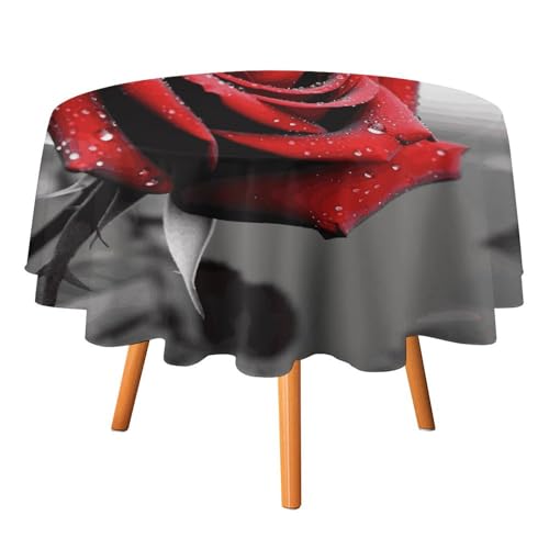 DDTKLSNV Tischdecke, rund, 178 x 177,8 cm, wasserdicht, knitterfrei, schmutzabweisend, waschbar, Tischdecke für Picknick, Party, Esszimmer, Heimdekoration DDTKLSNV Tischdecke, rund, 178 x 177,8 cm, wasserdicht, knitterfrei, schmutzabweisend, waschbar, Tischdecke für Picknick, Party, Esszimmer, Heimdekoration von DDTKLSNV