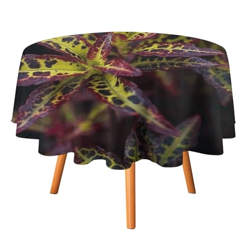 Runde Tischdecke, dunkle Blätter, 127 x 127 cm, wasserdicht, knitterfrei, schmutzabweisend, waschbar, Tischdecke für Picknick, Party, Esszimmer, Heimdekoration von DDTKLSNV