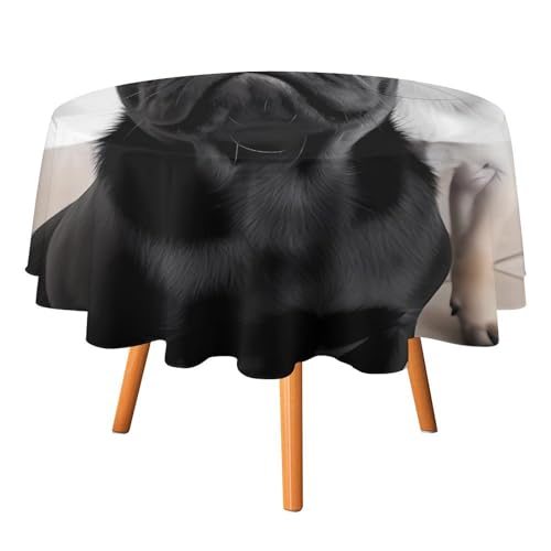 Runde Tischdecke mit niedlichem Mops, 127 x 127 cm, wasserdicht, knitterfrei, schmutzabweisend, waschbar, Tischdecke für Picknick, Party, Esszimmer, Heimdekoration von DDTKLSNV
