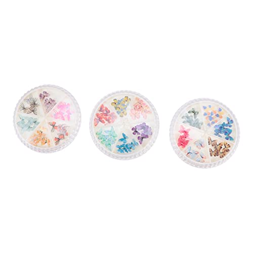 DEARMAMY Schmetterlinge Nagelcharme Nageldekorationen für DIY Maniküre Boxen mit Verschiedenen Designs für Nail Art und Persönliche Projekte DEARMAMY Schmetterlinge Nagelcharme Nageldekorationen für DIY Maniküre Boxen mit Verschiedenen Designs für Nail Art und Persönliche Projekte von DEARMAMY