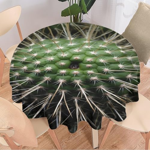 DEBAOKA Runde Tischdecke im Vintage-Kaktus-Stil, grüne Pflanzen, rustikal, wiederverwendbar, kreisförmig, hitzebeständig, schmutzabweisend, Tischdecke für Esszimmer, Küche, Innen- und Außenbereich, DEBAOKA Runde Tischdecke im Vintage-Kaktus-Stil, grüne Pflanzen, rustikal, wiederverwendbar, kreisförmig, hitzebeständig, schmutzabweisend, Tischdecke für Esszimmer, Küche, Innen- und Außenbereich, von DEBAOKA