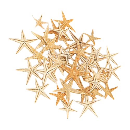 DECHOUS Mini-seestern-Ornament-Set Strass-skulptur Mini-landschaftsskulptur Für Heimdekoration Bastelbedarf DECHOUS Mini-seestern-Ornament-Set Strass-skulptur Mini-landschaftsskulptur Für Heimdekoration Bastelbedarf von DECHOUS