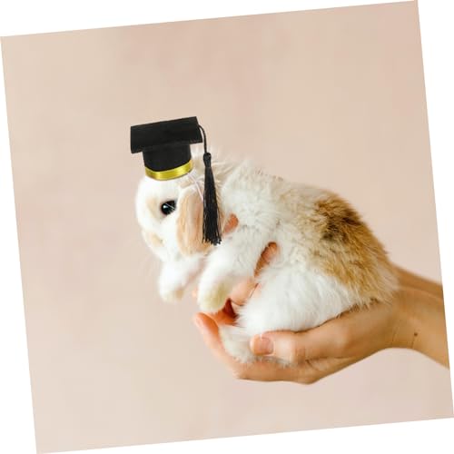 DECHOUS Kleiner Hamsterhut Verstellbarer Abschluss Doktorhut mit Gelbem Band Haustier Foto Requisite für Party Geburtstag und Familienfotos DECHOUS Kleiner Hamsterhut Verstellbarer Abschluss Doktorhut mit Gelbem Band Haustier Foto Requisite für Party Geburtstag und Familienfotos von DECHOUS