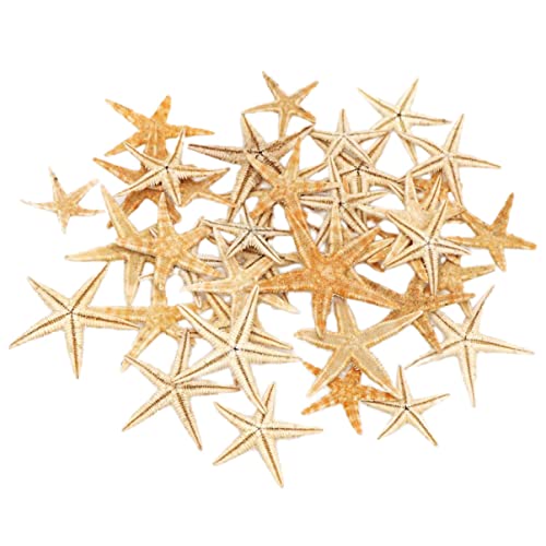 DECHOUS Ornament Aus Zement Dekorativer Mini-seestern Umweltfreundliche Mini-landschaftsskulptur Für Zuhause DECHOUS Ornament Aus Zement Dekorativer Mini-seestern Umweltfreundliche Mini-landschaftsskulptur Für Zuhause von DECHOUS