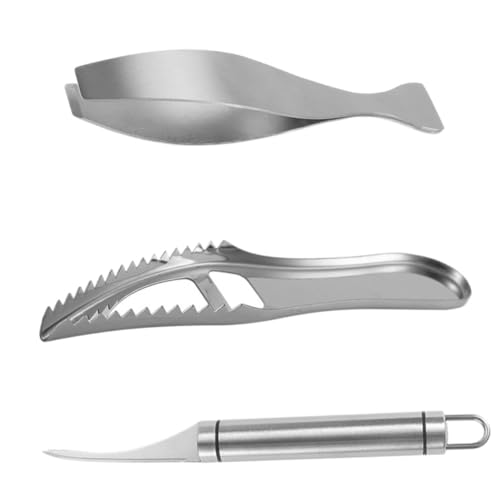 DECOMELODY Edelstahl Fischschuppenentferner Teilig mit Grätenzange und Pinzette Langlebiges Küchengerät zur Schnellen und Sicheren Reinigung von Meeresfrüchten Rostfrei Kompakt und Handlich DECOMELODY Edelstahl Fischschuppenentferner Teilig mit Grätenzange und Pinzette Langlebiges Küchengerät zur Schnellen und Sicheren Reinigung von Meeresfrüchten Rostfrei Kompakt und Handlich von DECOMELODY