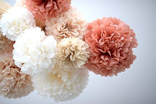 DECOPOMPOMS Papierkugeln, Pompons aus Seidenpapier, Party-Set, Handarbeit, neutrale Farbtöne, 12 Stück DECOPOMPOMS Papierkugeln, Pompons aus Seidenpapier, Party-Set, Handarbeit, neutrale Farbtöne, 12 Stück von DECOPOMPOMS