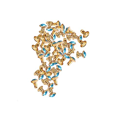 DECORNIJIA 100 Stück Nähzubehör Für Kleidung Diamant Machen Strasssteine Große Kristalle Blau Bunt Schmuck DECORNIJIA 100 Stück Nähzubehör Für Kleidung Diamant Machen Strasssteine Große Kristalle Blau Bunt Schmuck von DECORNIJIA