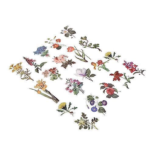 DECORNIJIA 120 Stück Vintage Pflanzenaufkleber Teile Diy Scrapbooking Sticker für Notizbücher Karten und Dekoration Selbstklebende Nostalgische Designs für Projekte und DECORNIJIA 120 Stück Vintage Pflanzenaufkleber Teile Diy Scrapbooking Sticker für Notizbücher Karten und Dekoration Selbstklebende Nostalgische Designs für Projekte und von DECORNIJIA