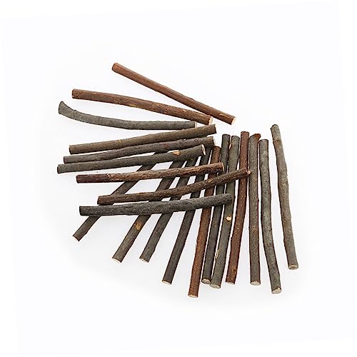 DECORNIJIA 20 Stück Log -Stick -Requisiten dünn Miniatur Stümpfe Stumpf Hartholz Dekoration Mini-Sticks Handwerk Kiefer Holzstangen Holzstäbchen selbstgemachte Stöcke Log-Sticks Hölzern DECORNIJIA 20 Stück Log -Stick -Requisiten dünn Miniatur Stümpfe Stumpf Hartholz Dekoration Mini-Sticks Handwerk Kiefer Holzstangen Holzstäbchen selbstgemachte Stöcke Log-Sticks Hölzern von DECORNIJIA
