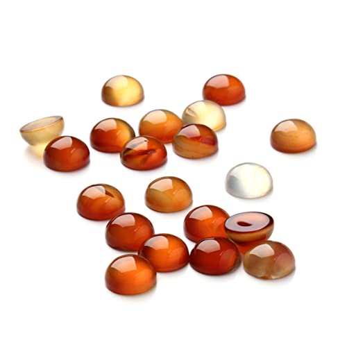 DECORNIJIA 20 Stück Teiliges Rotes Karneol Cabochon Halbrund Flach Edelstein Patches für DIY Schmuckherstellung Vielseitig Einsetzbar für Ohrringe Manschettenknöpfe und Dekoration DECORNIJIA 20 Stück Teiliges Rotes Karneol Cabochon Halbrund Flach Edelstein Patches für DIY Schmuckherstellung Vielseitig Einsetzbar für Ohrringe Manschettenknöpfe und Dekoration von DECORNIJIA